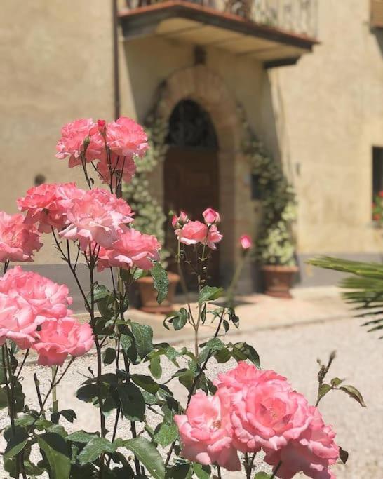 "Villa Bizzi" Monte Castelli Extérieur photo