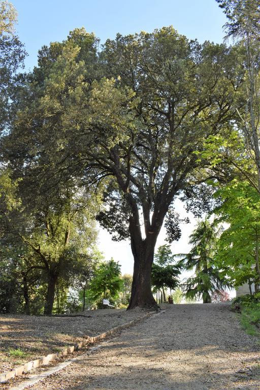 "Villa Bizzi" Monte Castelli Extérieur photo